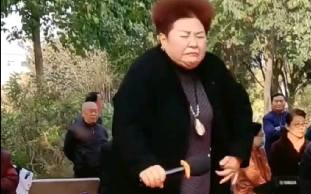 豫剧女黑头，唱的真带劲！