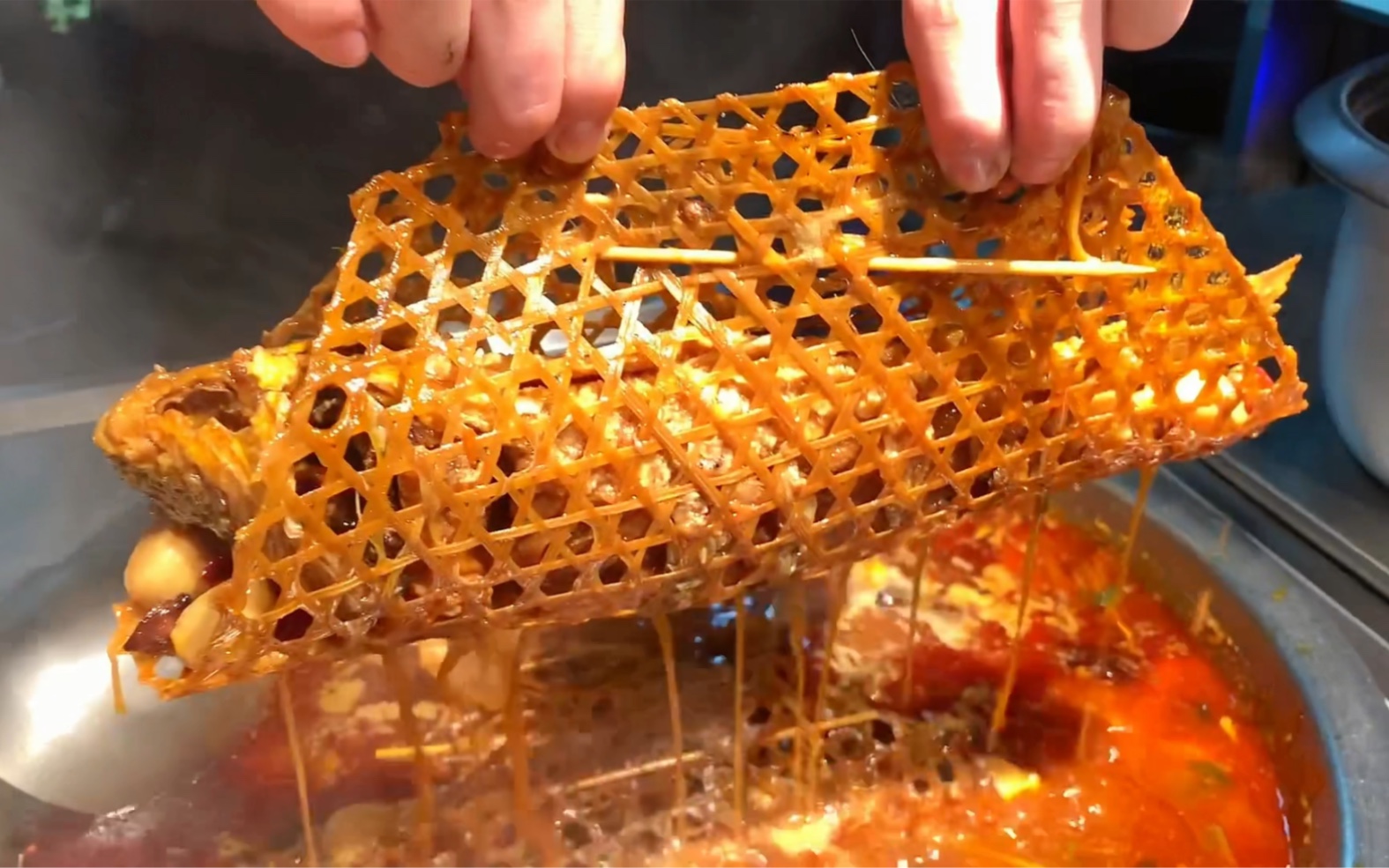 在河南带娃到动物园看老虎游泳，自助餐喝稀饭吃咸菜，小吃店里听豫剧吃黄河大鲤鱼，还有粉浆面条，白胡辣汤和壮馍